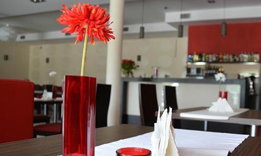 Hotel Cynamon Tokarnia  Dış mekan fotoğraf